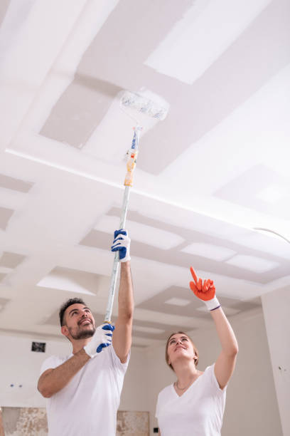 Best Attic Mold Removal  in Yorktown, IN