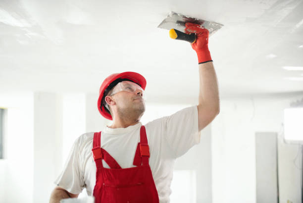 Best Emergency Mold Remediation  in Yorktown, IN
