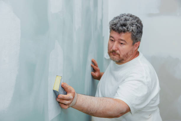 Trusted Yorktown, IN Mold Removal Experts